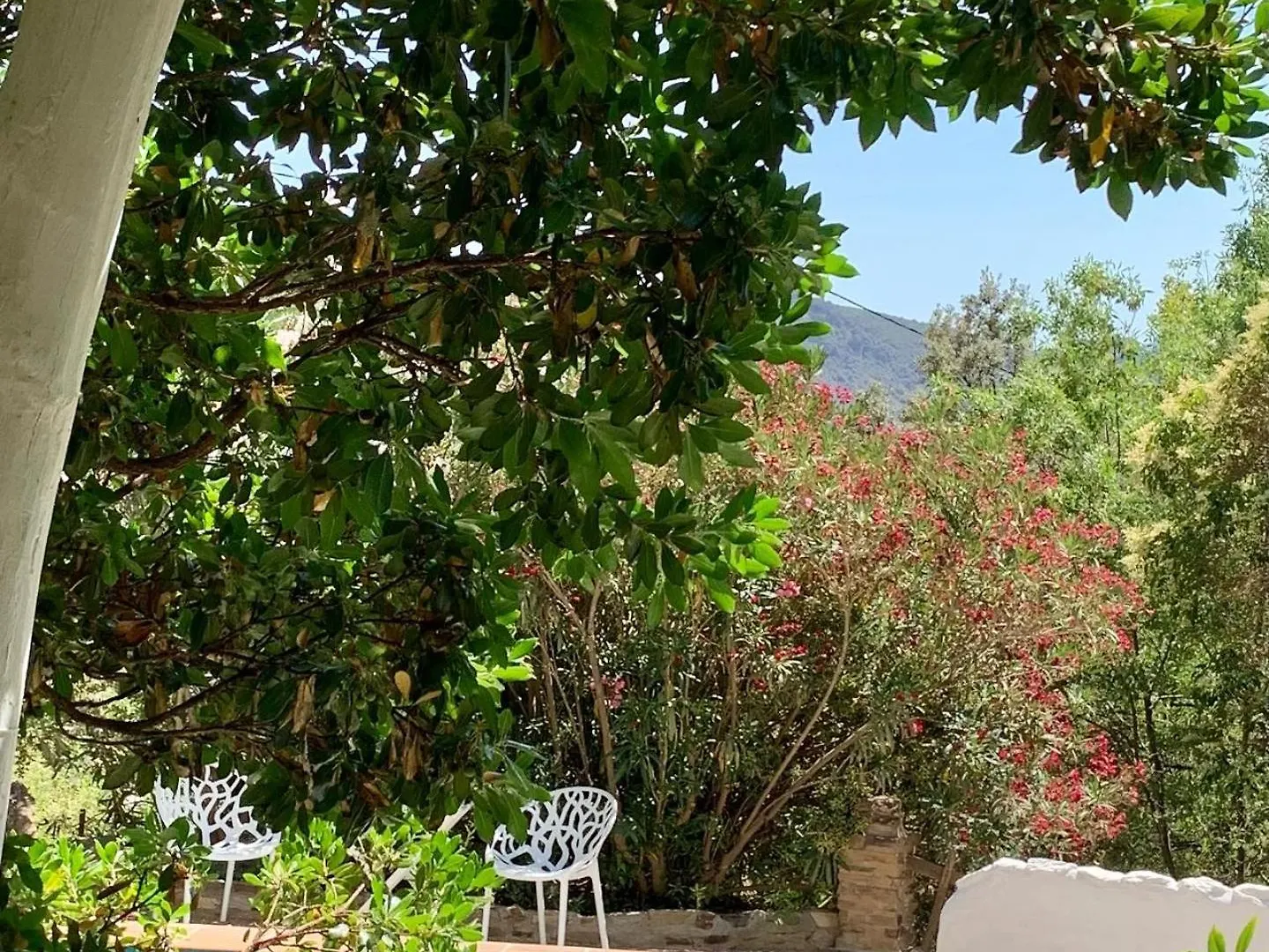 Villa Cortijo La Viñuela Atalbeitar