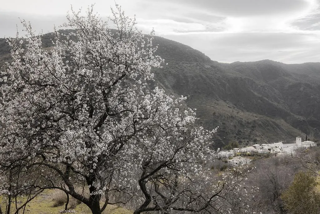 Сasa de vacaciones Villa Cortijo La Viñuela Atalbeitar España